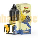 سالت بلوبری کاستارد هورنی <br><span>Horny Flava Berries Custard Salt Nic</span> - Image 2